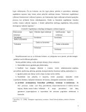 Organizacijos žlugimo priežastys 7 puslapis