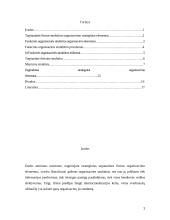 Strateginiai tarptautinės firmos organizavimo elementai