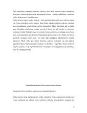 Strateginiai tarptautinės firmos organizavimo elementai 2 puslapis