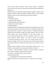 Strateginiai tarptautinės firmos organizavimo elementai 13 puslapis