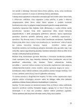 Strateginiai tarptautinės firmos organizavimo elementai 15 puslapis