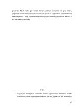 Strateginiai tarptautinės firmos organizavimo elementai 17 puslapis