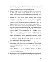 Strateginiai tarptautinės firmos organizavimo elementai 18 puslapis