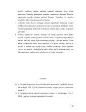 Strateginiai tarptautinės firmos organizavimo elementai 19 puslapis