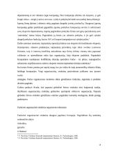 Strateginiai tarptautinės firmos organizavimo elementai 4 puslapis