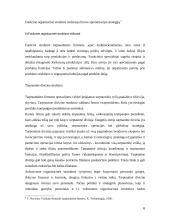 Strateginiai tarptautinės firmos organizavimo elementai 6 puslapis