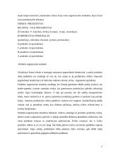 Strateginiai tarptautinės firmos organizavimo elementai 7 puslapis