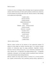 Strateginiai tarptautinės firmos organizavimo elementai 8 puslapis