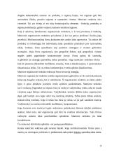 Strateginiai tarptautinės firmos organizavimo elementai 9 puslapis