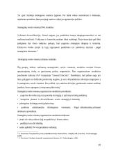 Strateginiai tarptautinės firmos organizavimo elementai 10 puslapis