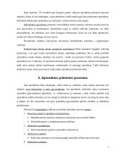 Valdymo sprendimo priėmimas  6 puslapis