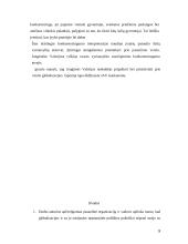 Valdymo globalizacija 9 puslapis