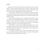 Verslo rizika ir valdymo metodai 2 puslapis