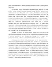 Verslo rizika ir valdymo metodai 11 puslapis