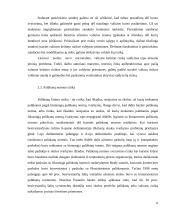 Verslo rizika ir valdymo metodai 12 puslapis