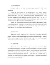 Verslo rizika ir valdymo metodai 13 puslapis