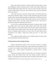 Verslo rizika ir valdymo metodai 14 puslapis