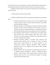 Verslo rizika ir valdymo metodai 15 puslapis