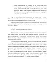 Verslo rizika ir valdymo metodai 16 puslapis