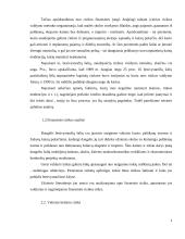 Verslo rizika ir valdymo metodai 4 puslapis