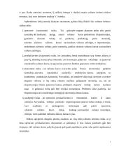 Verslo rizika ir valdymo metodai 7 puslapis