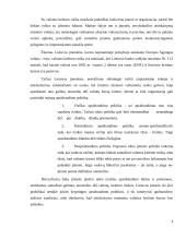 Verslo rizika ir valdymo metodai 8 puslapis