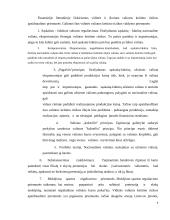 Verslo rizika ir valdymo metodai 9 puslapis