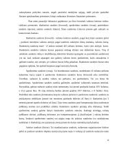 Verslo rizika ir valdymo metodai 10 puslapis