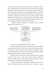 Valdymas pagal tikslus 16 puslapis