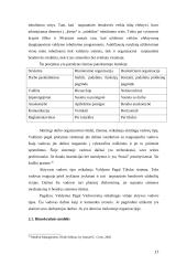 Valdymas pagal tikslus 17 puslapis