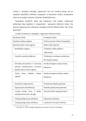 Valdymas pagal tikslus 5 puslapis