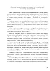 Statistikos departamento žinių visuomenės valdymas 13 puslapis