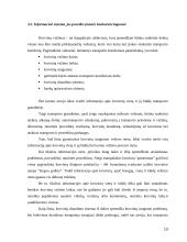 Žinių vadyba formaliojo ir informacinio organizavimo kontekste 13 puslapis