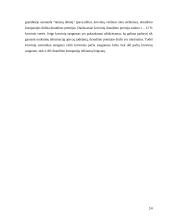 Žinių vadyba formaliojo ir informacinio organizavimo kontekste 14 puslapis