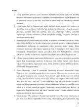 Etinių sprendimų organizacijoje priėmimas 12 puslapis