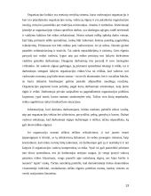 Etinės problemos verslo organizacijose 13 puslapis