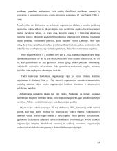 Etinės problemos verslo organizacijose 17 puslapis