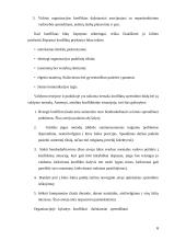 Etinės problemos verslo organizacijose 6 puslapis