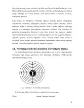 Etinės problemos verslo organizacijose 9 puslapis