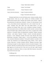 Etinės problemos verslo organizacijose 10 puslapis