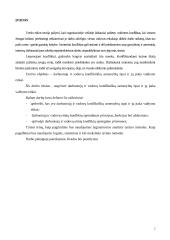 Darbuotojų ir vadovų konfliktiškų asmenybių tipai ir jų įtaka valdymo etikai 2 puslapis