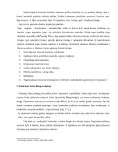 Indų filosofijos mokyklos ir jų skirstymas 9 puslapis