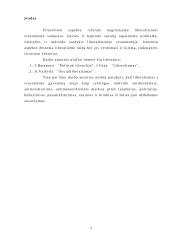 Libertalizmo samprata bei principai 2 puslapis