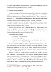 Libertalizmo samprata bei principai 19 puslapis