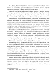 Libertalizmo samprata bei principai 20 puslapis