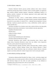 Libertalizmo samprata bei principai 3 puslapis