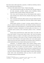 Libertalizmo samprata bei principai 8 puslapis