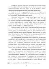 Libertalizmo samprata bei principai 9 puslapis