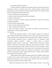 Dingusių be žinios žmonių paieškos metodika 18 puslapis