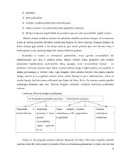 Dingusių be žinios žmonių paieškos metodika 6 puslapis